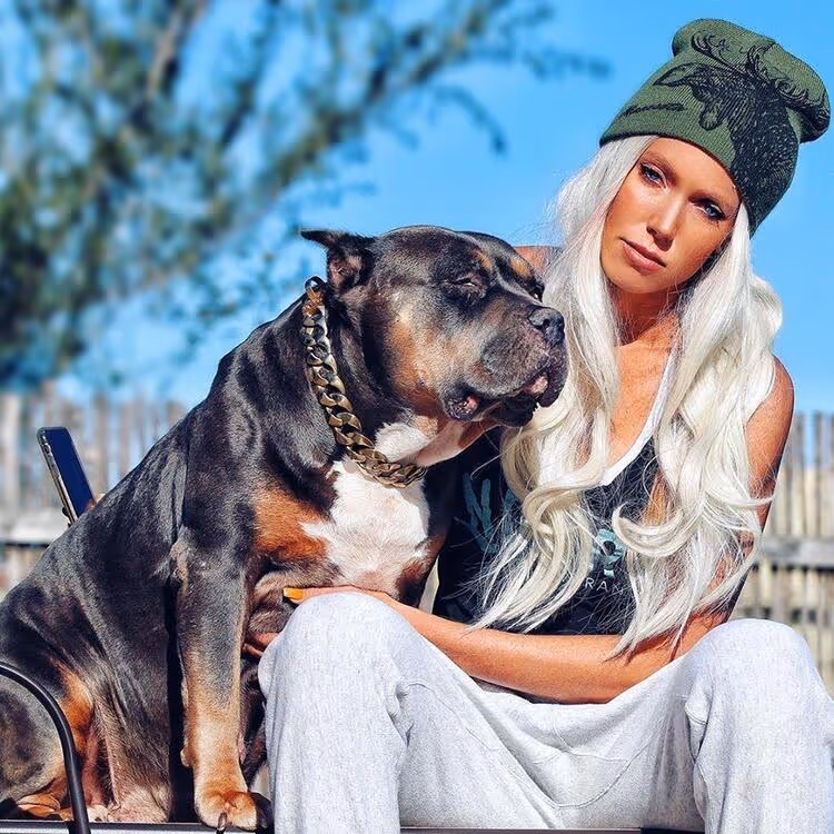 Gold Chain Pet Collar